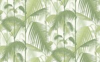 Cole and Son Palm Jungle behang 95/1001 Luxury By Nature