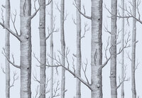 Cole and Son Woods 69/12150 behang ole &amp; Son Luxury By Nature 1