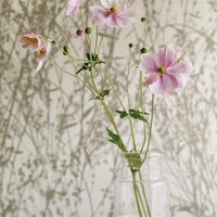 Behang Sanderson Meadow Canvas 215693 Woodland Walk Luxury By Nature sfeer 2