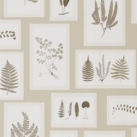 Behang Sanderson Fern Gallery 215714 Woodland Walk Luxury By Nature