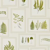 Behang Sanderson Fern Gallery 215712 Woodland Walk Luxury By Nature