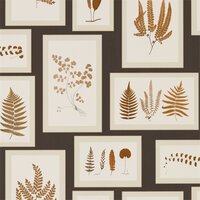 Behang Sanderson Fern Gallery 215713 Woodland Walk Luxury By Nature