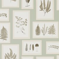 Behang Sanderson Fern Gallery 215715 Woodland Walk Luxury By Nature
