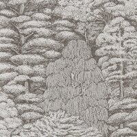 Behang Sanderson Woodland Toile 215716 Woodland Walk Luxury By Nature
