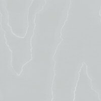Behang Cole and Son Watered Silk 106-1012 Landscape Plains Luxury By Nature 1