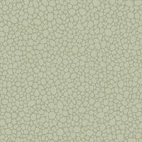 Behang Cole and Son Pebble 106-2027 Landscape Plains Luxury By Nature 1