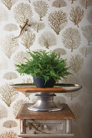 Behang Cole and Son Seafern Curio Collectie Luxury By Nature sfeer 2