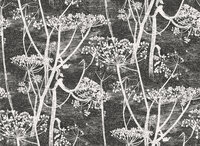 Behang Cole and Son Cow Parsley 66-7046 Contemporary Restyled Luxury By Nature