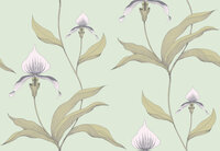 Behang Cole and Son Orchid 66/4028 Contemporary Selection Luxury By Nature