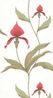 orchid  95/10054 cole son behang luxury by nature