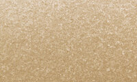 Behang ARTE GRA4102 - Graphite Behangpapier Collectie Luxury By Nature