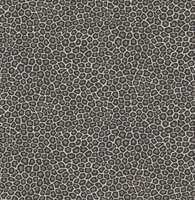 Senzo Spot Behang Ardmore Cole and Son 109-6031