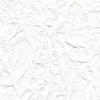Behang Splendeurs d&#039;une Favorite Elitis RM-221-02 Washi Collectie Luxury By Nature