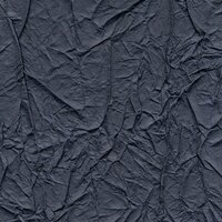 Behang Splendeurs d&#039;une Favorite Elitis RM-221-49 Washi Collectie Luxury By Nature