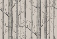 Cole and son Woods behang 112/3009