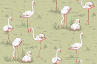 Cole &amp; Son Flamingos behang Icons behangpapier 112/11038