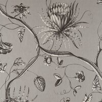 Phaedra Behang Zoffany 312621