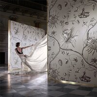Phaedra Behang Zoffany 312621
