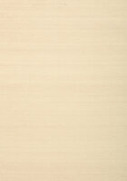 Shang Extra Fine Sisal Behang Thibaut Grasscloth Resource Volume 4 T72837 Sand