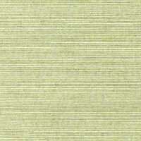 Shang Extra Fine Sisal Behang Thibaut Grasscloth Resource Volume 4 T5016 Willow