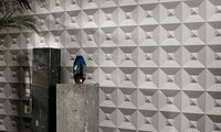 ARTE Behang Pyramid Focus behang collectie 26500