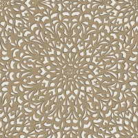 Medina Behang Cole &amp; Son