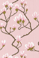 cole &amp; Son behang magnolia