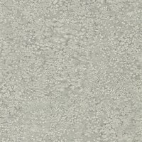 Weathered Stone Plain Behang zoffany Kempshott Behang Collectie 312643