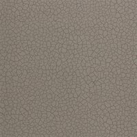 Zoffany Behang Cracked Earth Akaishi Behang Collectie 312527