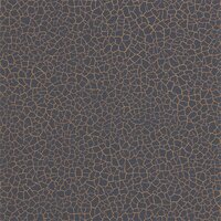 Zoffany Behang Cracked Earth Akaishi Behang Collectie 312531
