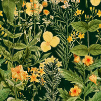 Mind the Gap Mimulus Behang WP20322