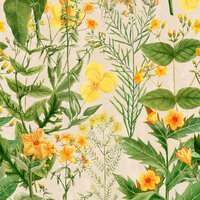 Mind the Gap Mimulus Behang WP20323