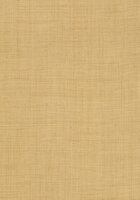 Thibaut Carolina Raffia Behang Grasscloth Resource Volume 3 collectie