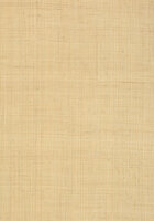 Thibaut Carolina Raffia Behang Grasscloth Resource Volume 3 collectie T13040