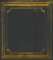 Coordonne Boiserie Behang 7900105