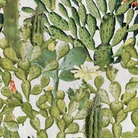 Mind the Gap Opuntia Behang Designer Wallpaper 2017 WP20166