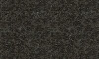 Moooi Bearded Leopard Behang MO2052