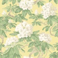 bourlie cole and son behang folie behangcollectie
