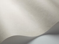 cole son trianon behang folie behangcollectie detail