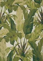 Thibaut Travelers Palm behang T10131 Sage ecru groen Tropics collectie 2