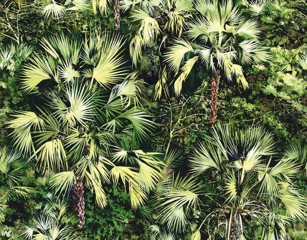 Pierre Frey Vue d&amp;#x0027;en Haut Behang Les Dessins 2&amp;#x00a0;Behang Collectie FP436002