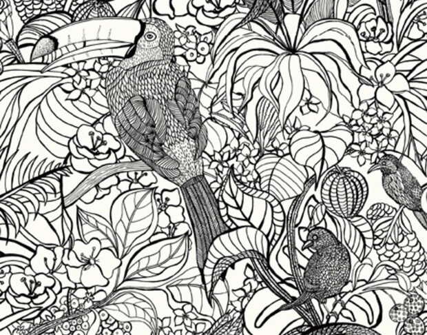 Pierre Frey Costa Rica Behang &nbsp;Les Dessins 2&nbsp;&nbsp;FP440001