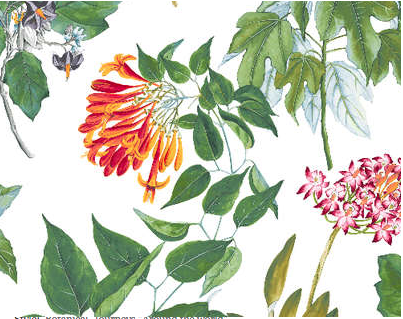 Pierre Frey Miami Behang Les Dessins FP318001