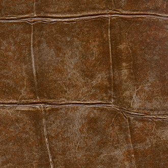 ELITIS Big Croco Legend Behang VP_426_08