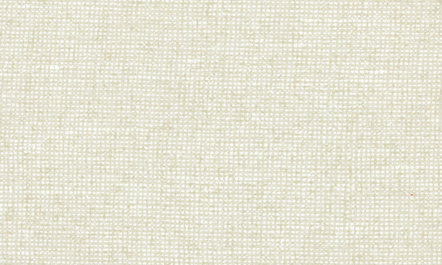 ARTE Chanderi behang Essentials  Les Nuances collectie 91501