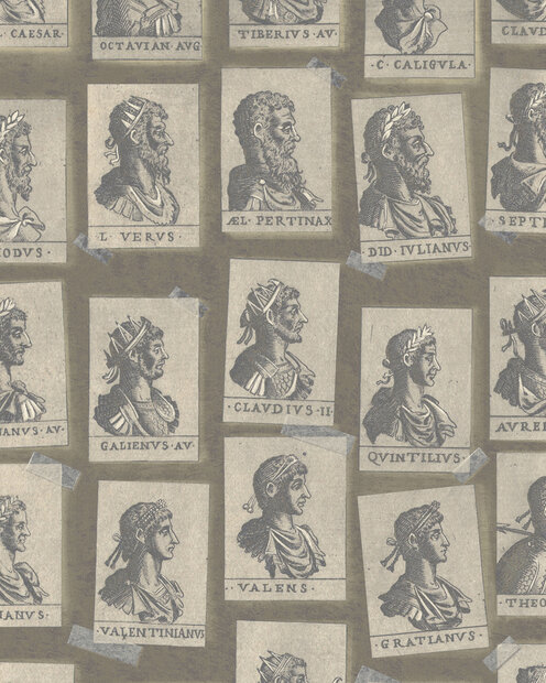 Mind the Gap Emperors Behang WP20416