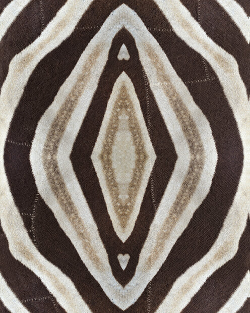 Mind the Gap Idube Behang The Home Of An Eccentric Man&nbsp;Behang Collectie WP20418