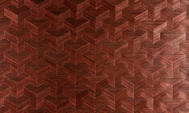 net 5 ladies night behang optredens studio