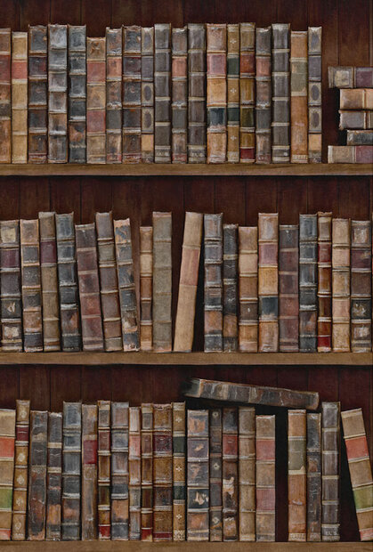 Rol A Mind the Gap Book shelves behang 