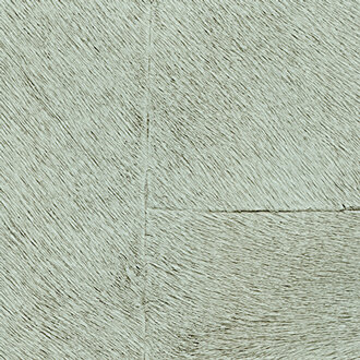 ELITIS Appaloosa Indomptee Project Behang CV_113_16